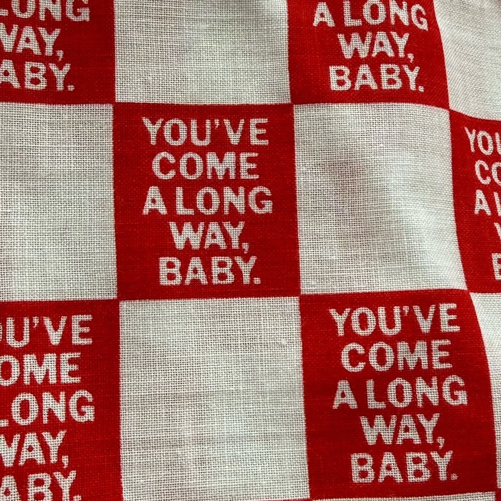 Vintage Red and White Checkered Boxers / You’ve Come A Long Way Baby - Picture 2 of 3